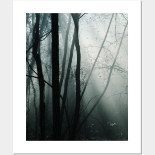 Moody Forest Posters and Art